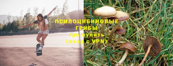 бошки Аркадак