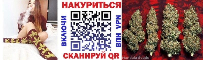 omg Можга Шишки марихуана White Widow